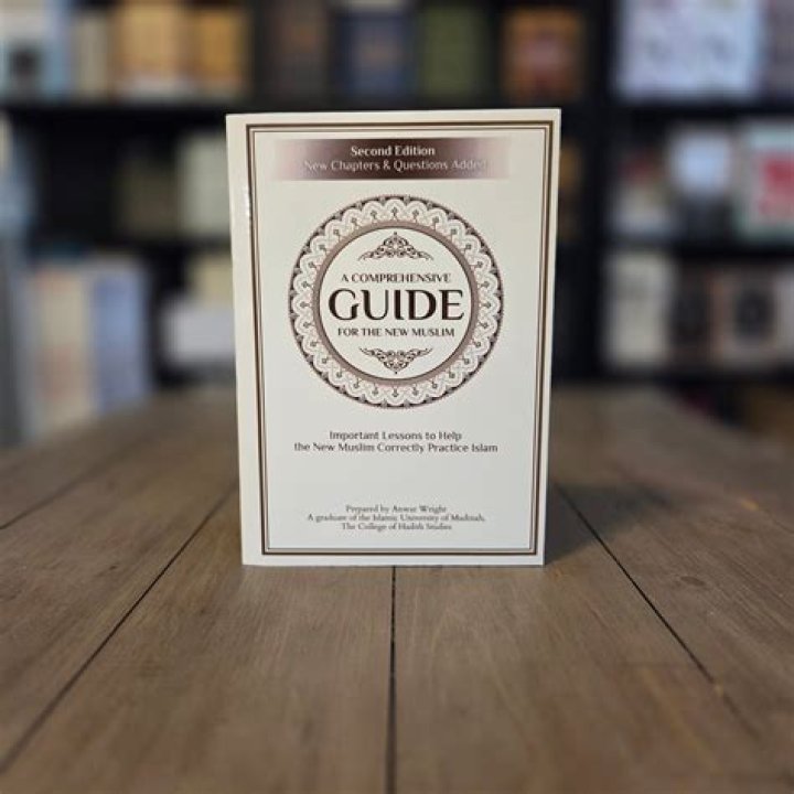 A Comprehensive Guide For The Benk31 Niche