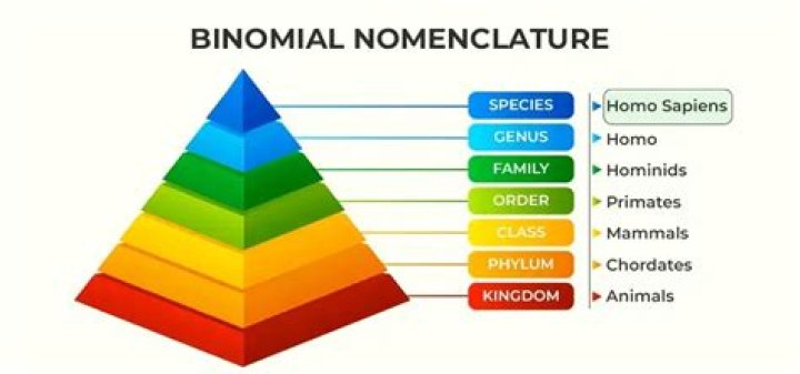 Binomial Nomenclature Biology Simple