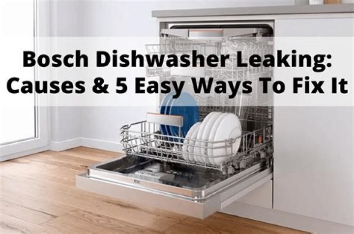 Bosch Dishwasher Leaking Causes & 5 Easy Ways To Fix It