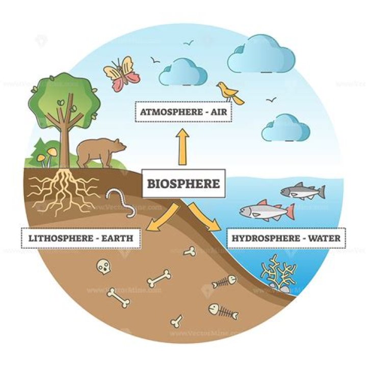 Description Biosphere division with labeled ecosystem explanation