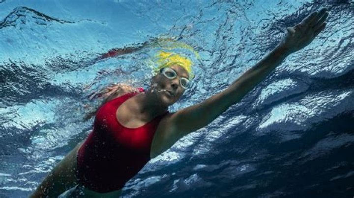 Diana Nyad And Bart Springertime: A Story Of Aquatic Exploration And Accomplishment