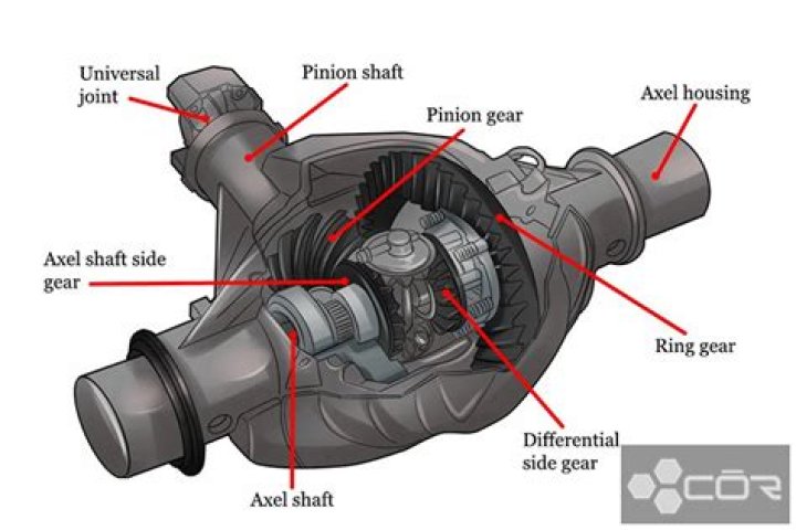 Differential Fluid How Much Does Your Car Need? My Jeep Car