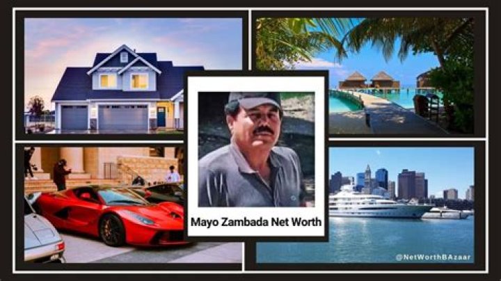 Discoveries In Mayo Zambada's Net Worth