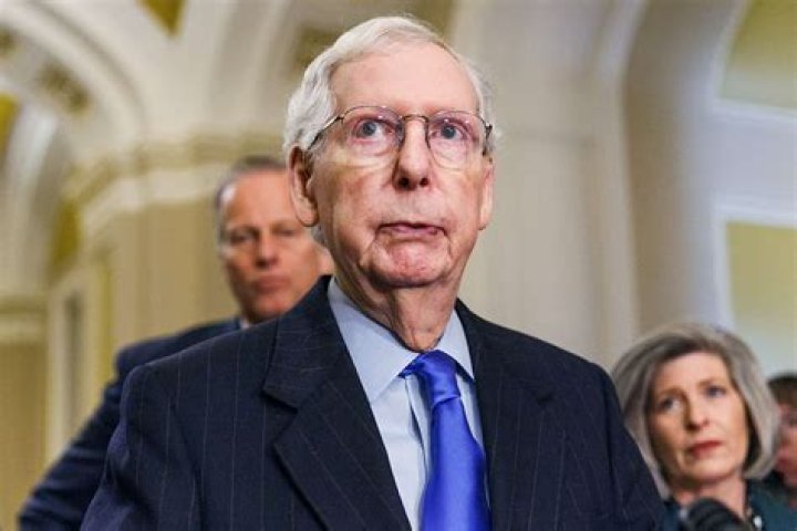 Exploring The World Of Mitch McConnell's Children