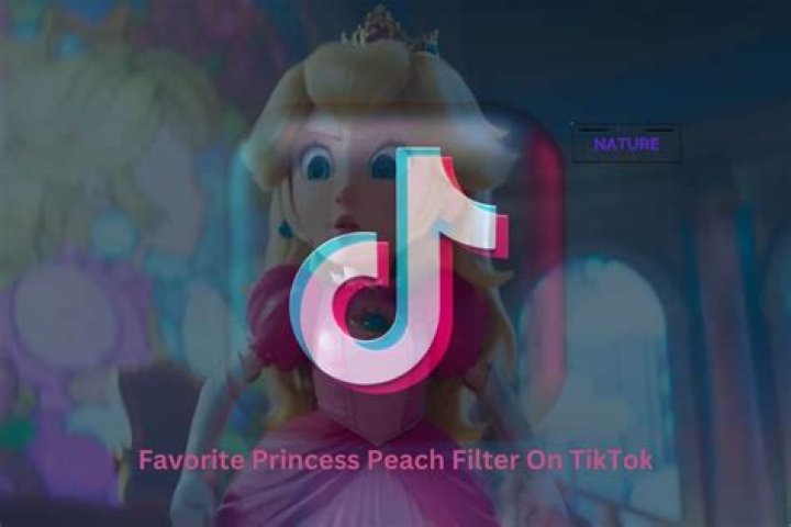 Fav Princess Peach Filter Know Your Meme