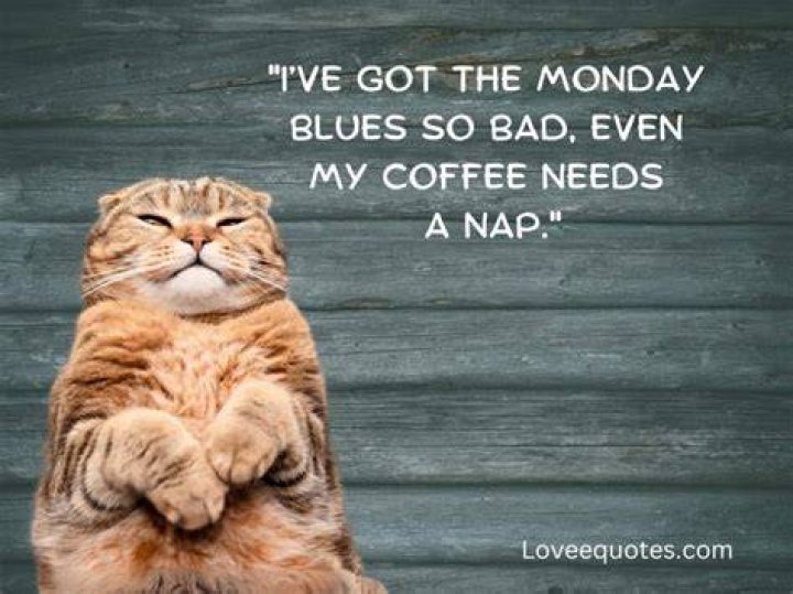 Funny Monday Quote