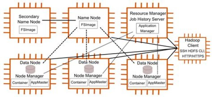 How Tall Is Conor McGregor: An In-depth Analysis