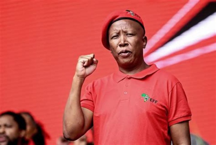 Julius Malema's wife makes rare public appearance for his birthday [pics]