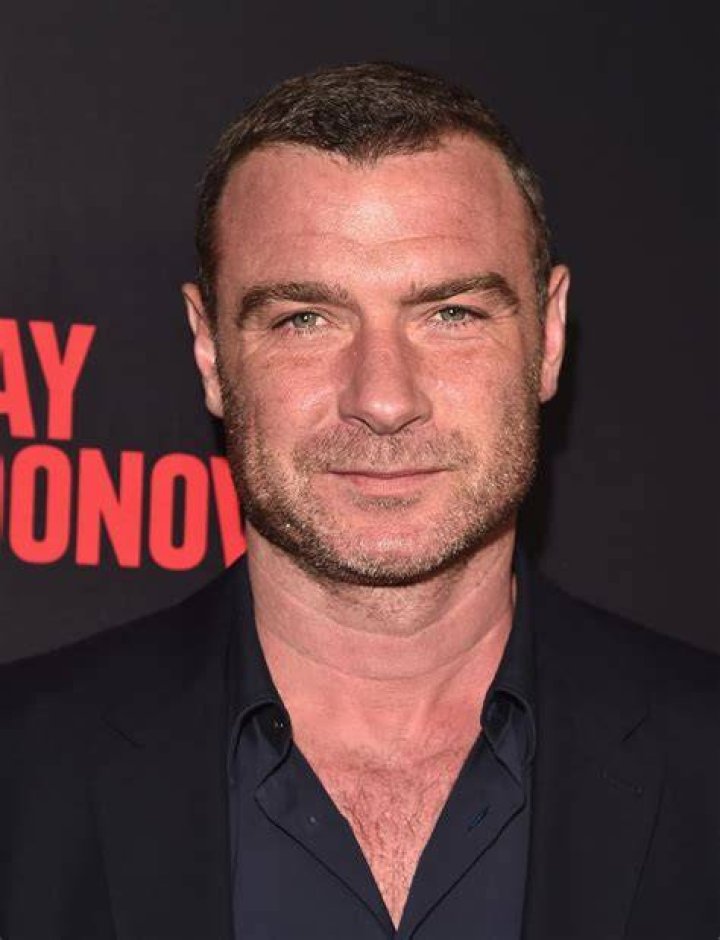 Liev Schreiber's Sons Dress Up in Costume at ComicCon! Photo 3932255