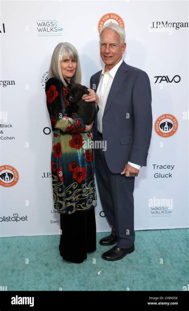 Mark Harmon And Pam Dawber Wedding