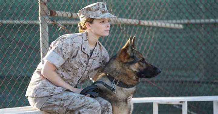 Megan Leavey (2017)