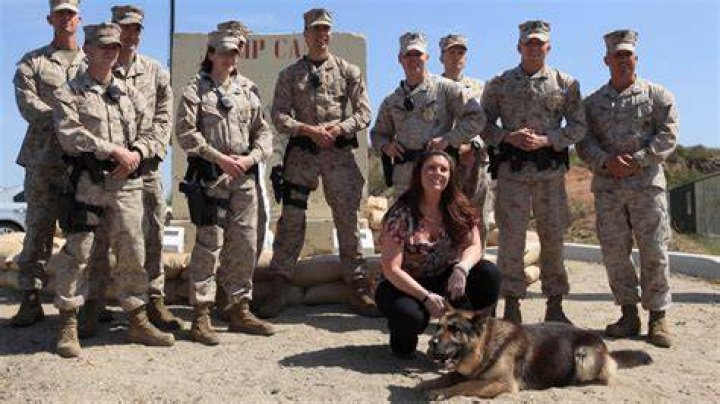 Megan Leavey Wiki Wikidata