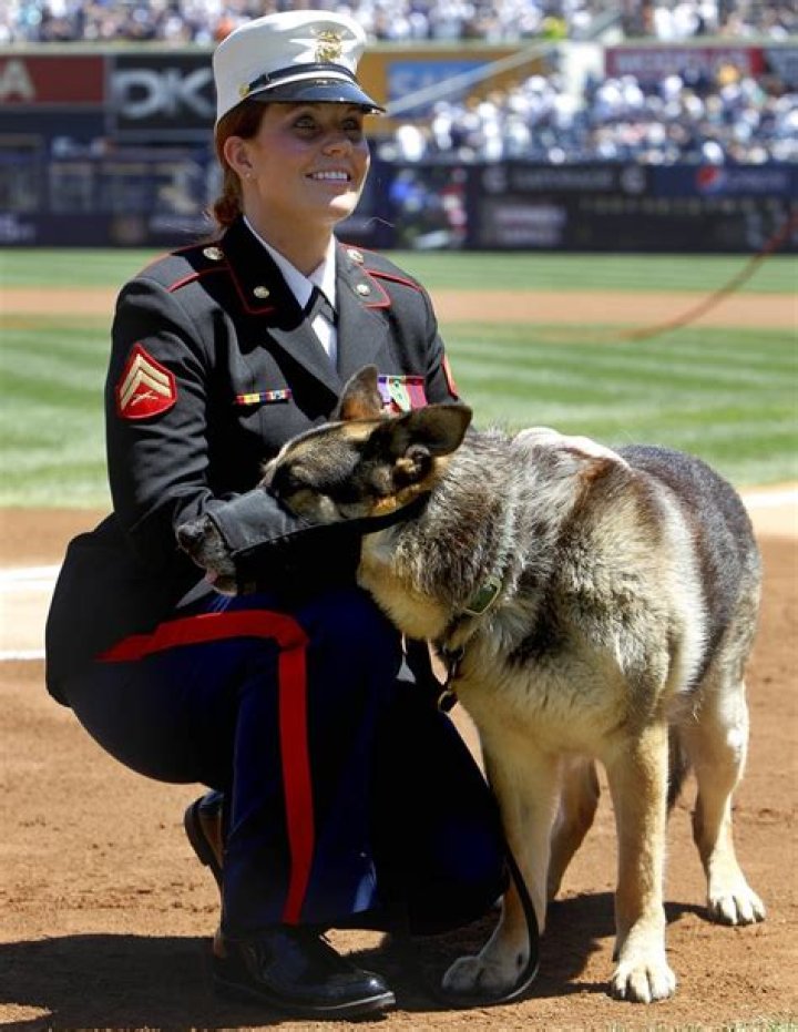 Megan Leavey