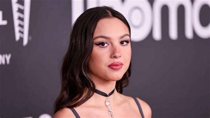 Olivia Rodrigo's Brother: A True Star In The Making