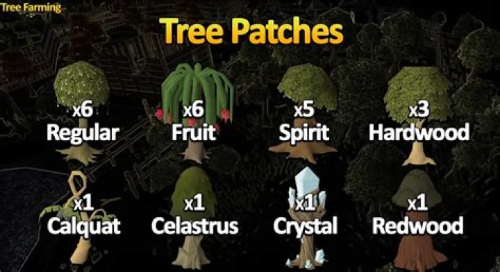 Osrs Farming Trees Tree Patch Locations Hot Sex Picture