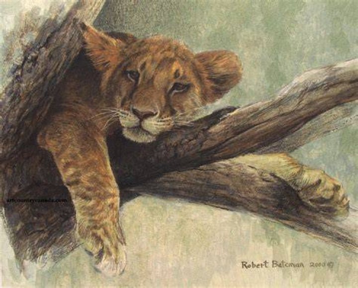 Robert Bateman Complete Art Index including Giclee Canvas & Original