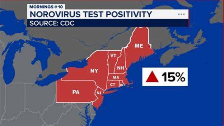 Stomach Virus Outbreak Map 2024 Maren Sadella