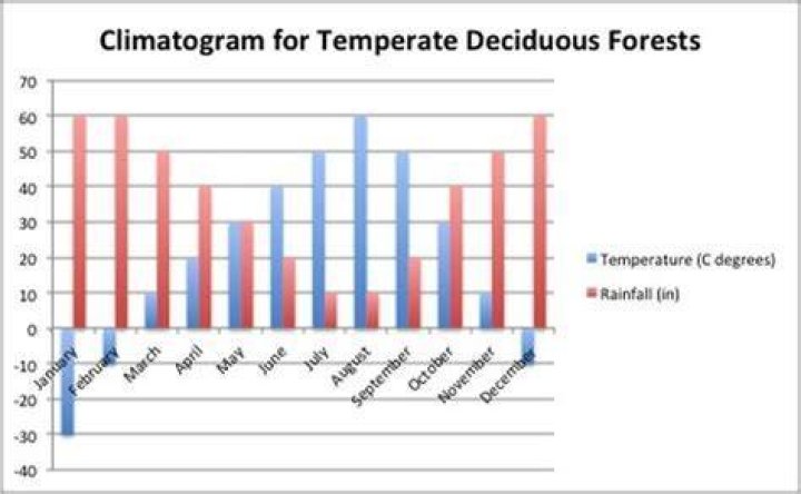 Temperature Deciduous Forest