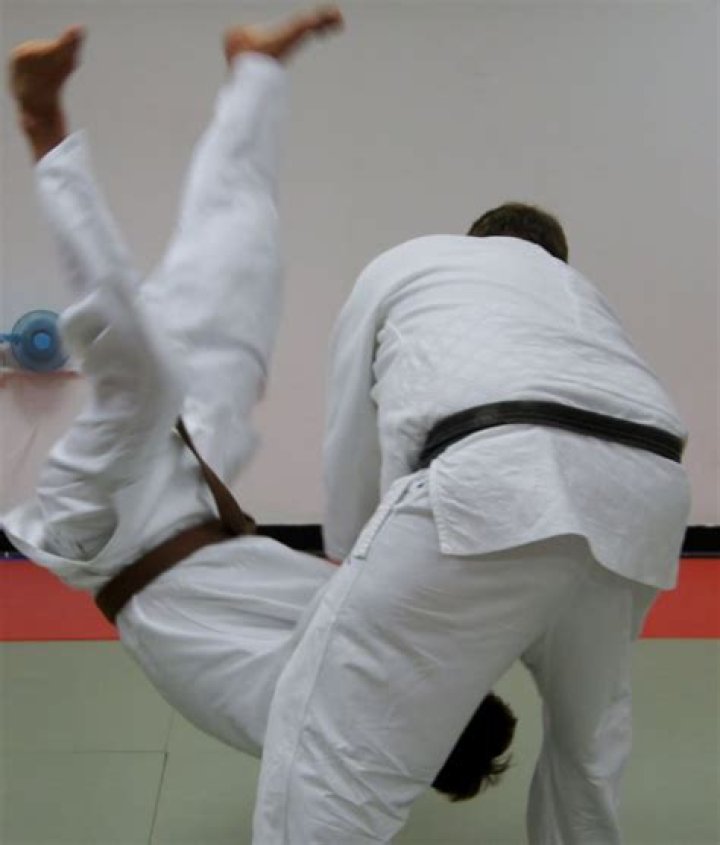 Tewaza full set (hand techiques) Full set, Judo, Hands