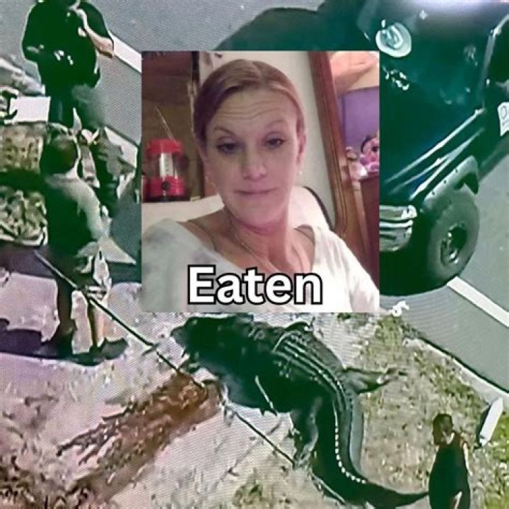 Unveiling The Extraordinary Tale Of Sabrina Peckham And The Alligator