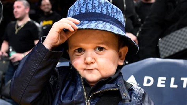 Unveiling The Secrets Of Hasbulla Net Worth 2024: Discoveries And Insights