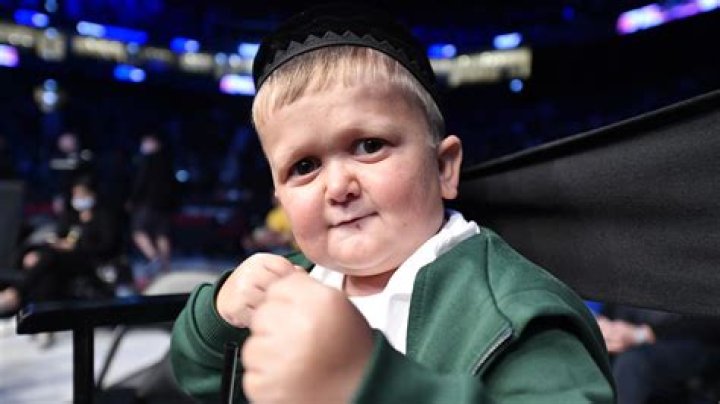 Why is Hasbulla famous? UFC fighters explain...